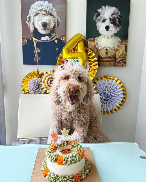 Puppy Party Planning: Hosting Memorable Celebrations for Your Furry Friends