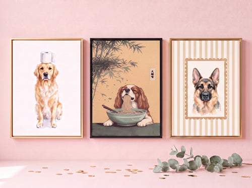 collection-meta-image
