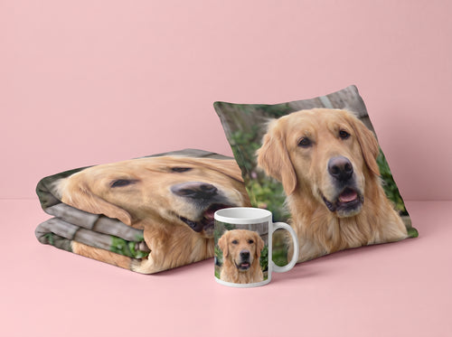 collection-meta-image