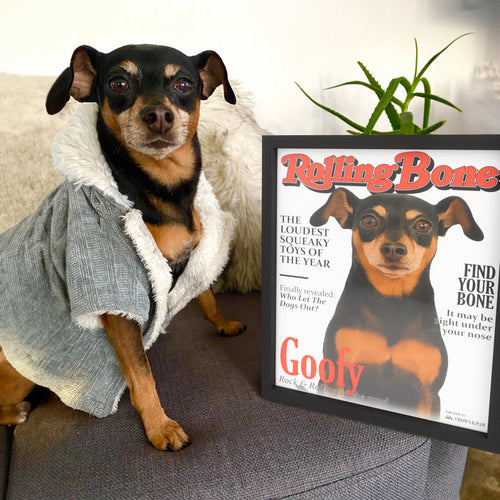 collection-meta-image