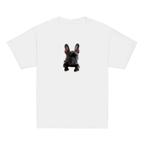collection-meta-image