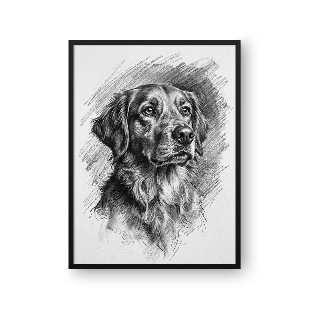 Charcoal Pet Portrait