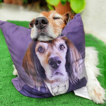 The Aristocrat - Custom Throw Pillow