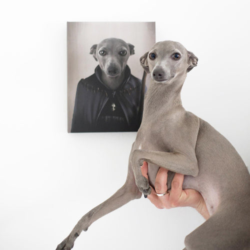 collection-meta-image-2