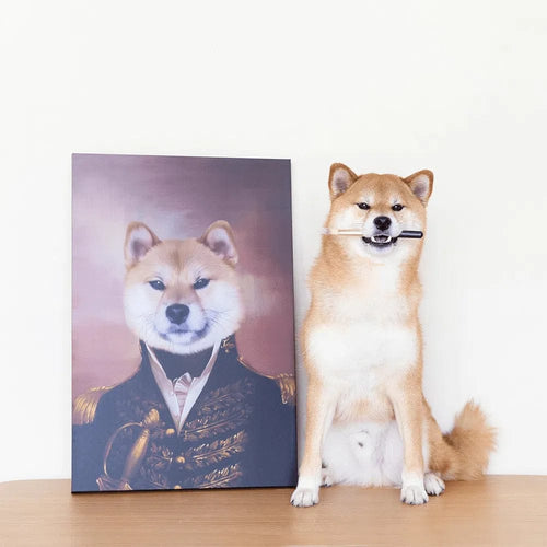 collection-meta-image