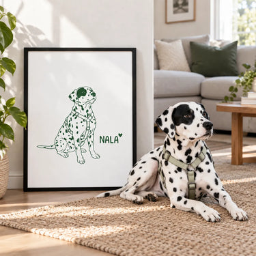Minimalist Pet Portrait