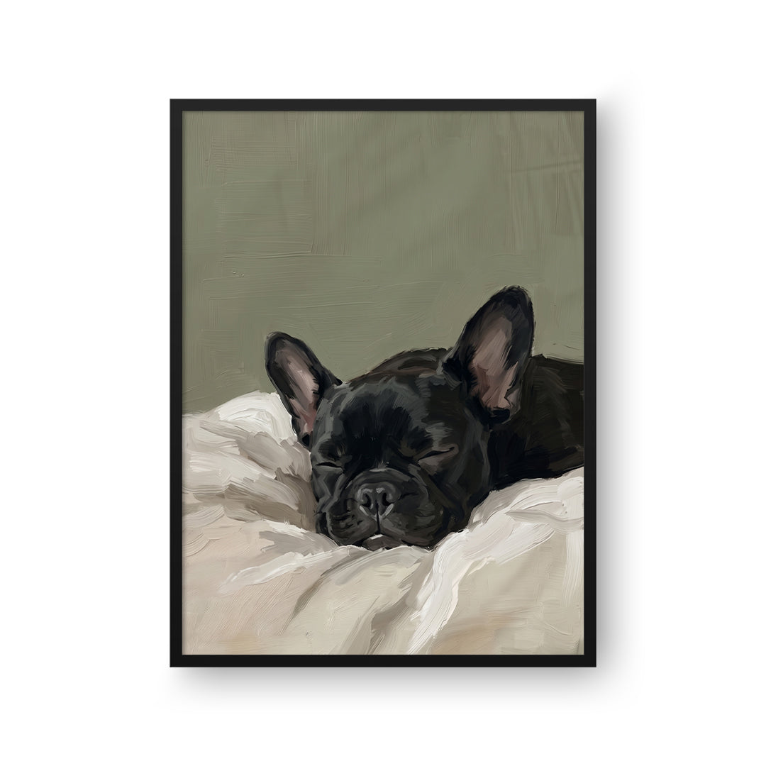 Sleeping Pet Portrait