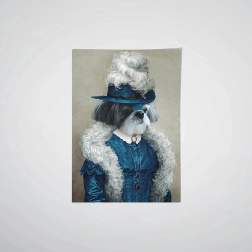 collection-meta-image