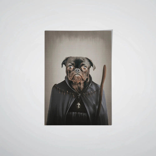 collection-meta-image