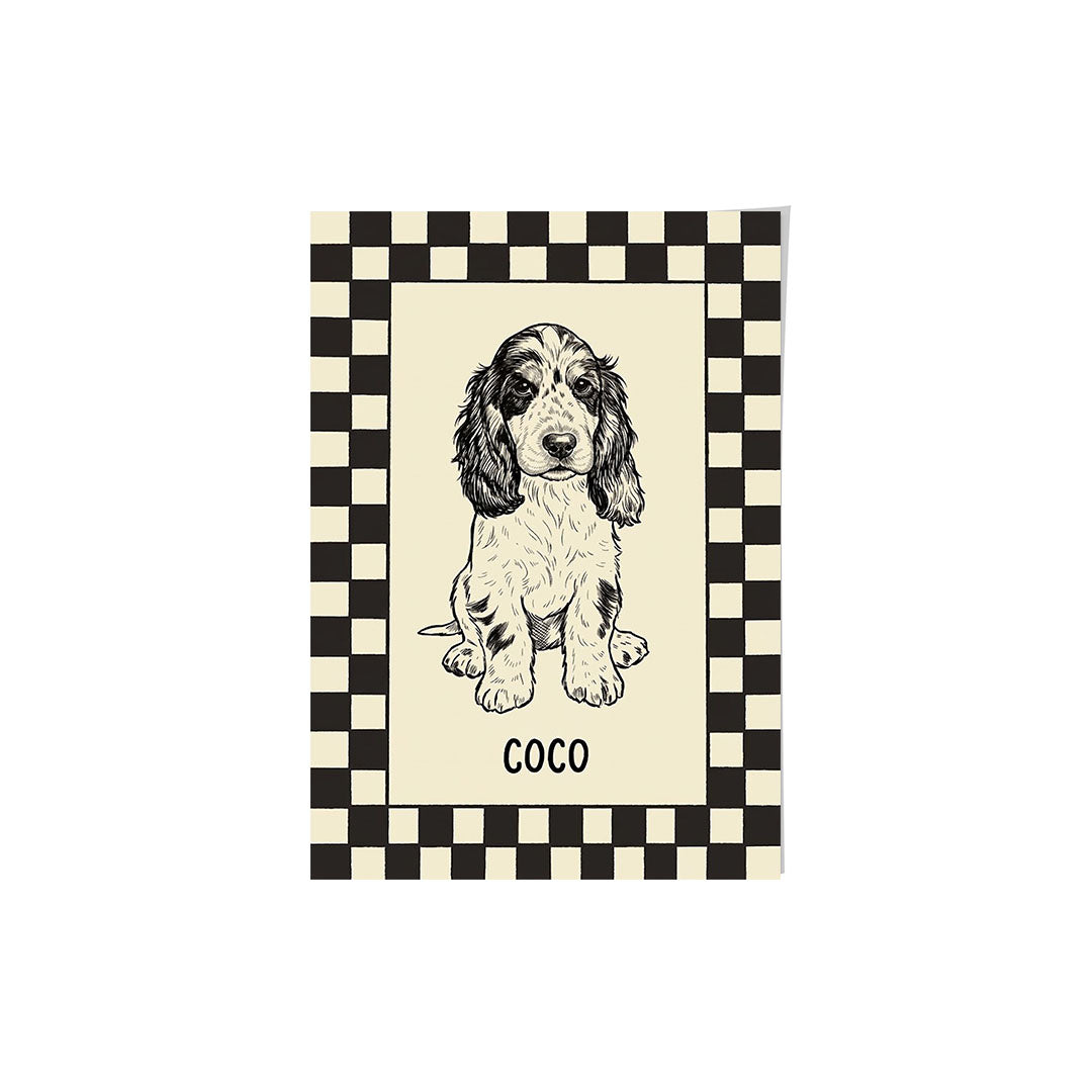 Checkered Pet Portrait