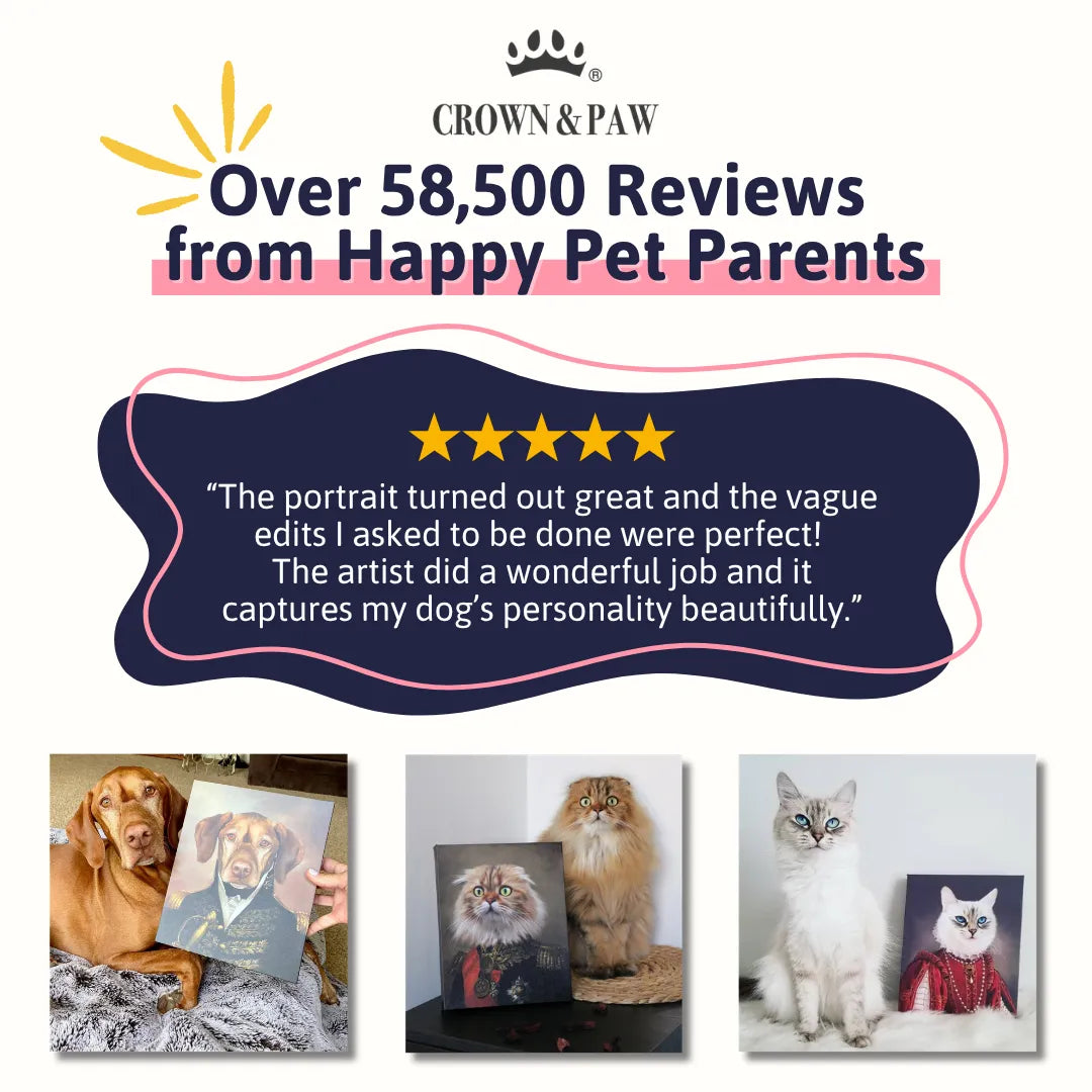 Bedtime Reading Pet Portrait