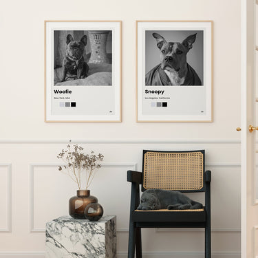 Timeless Polaroid Style Pet Portrait - Custom Pet Print Canvas