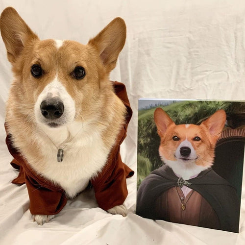 collection-meta-image