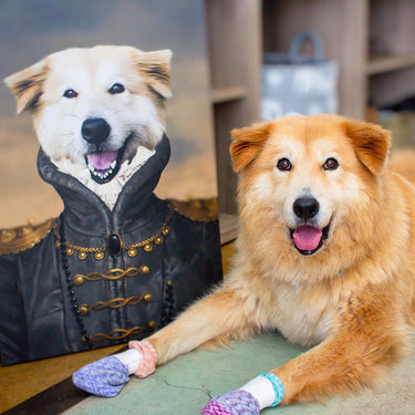 The Baroness - Custom Pet Canvas