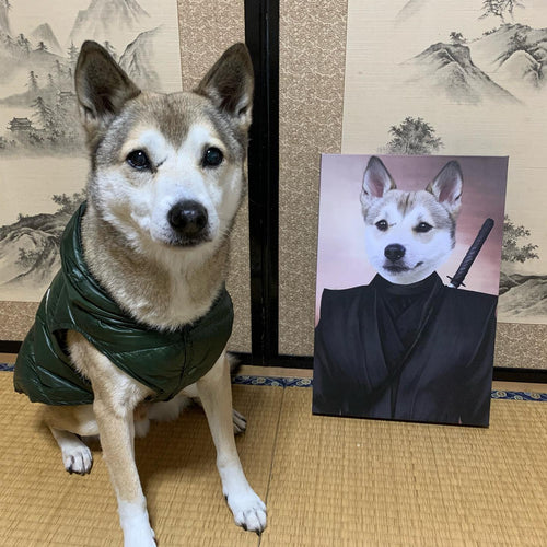 collection-meta-image