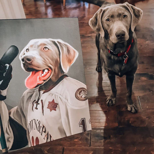 collection-meta-image