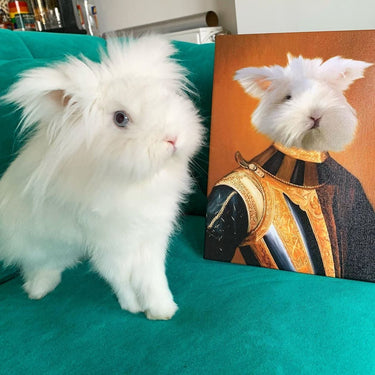 The Knight - Custom Pet Canvas