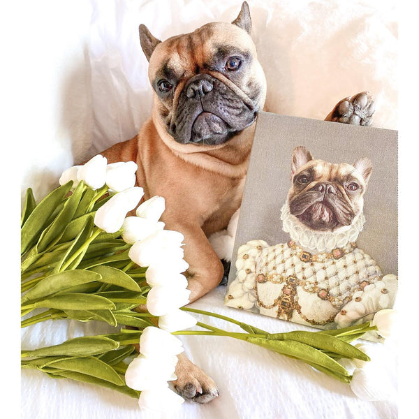 Springtime Pet Care: How to Protect Your Pet from Allergies and Pests