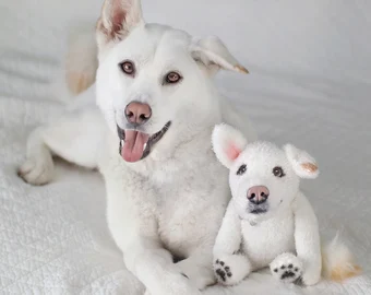 Where to Buy a Stuffed Animal That Looks Like Your Pet?