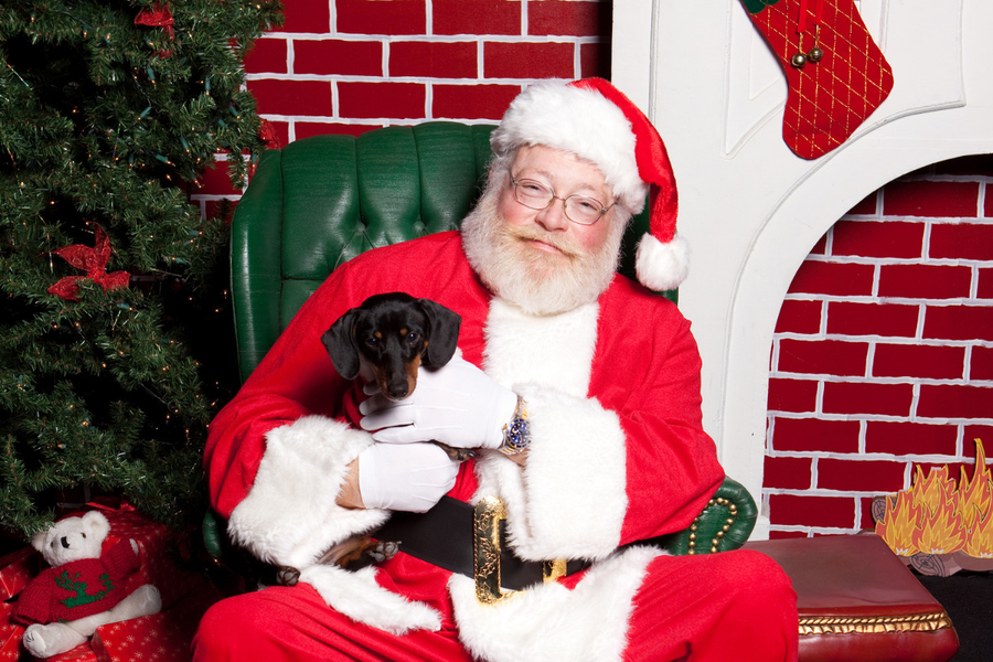 Where Can You Take Adorable Pet Photos with Santa?