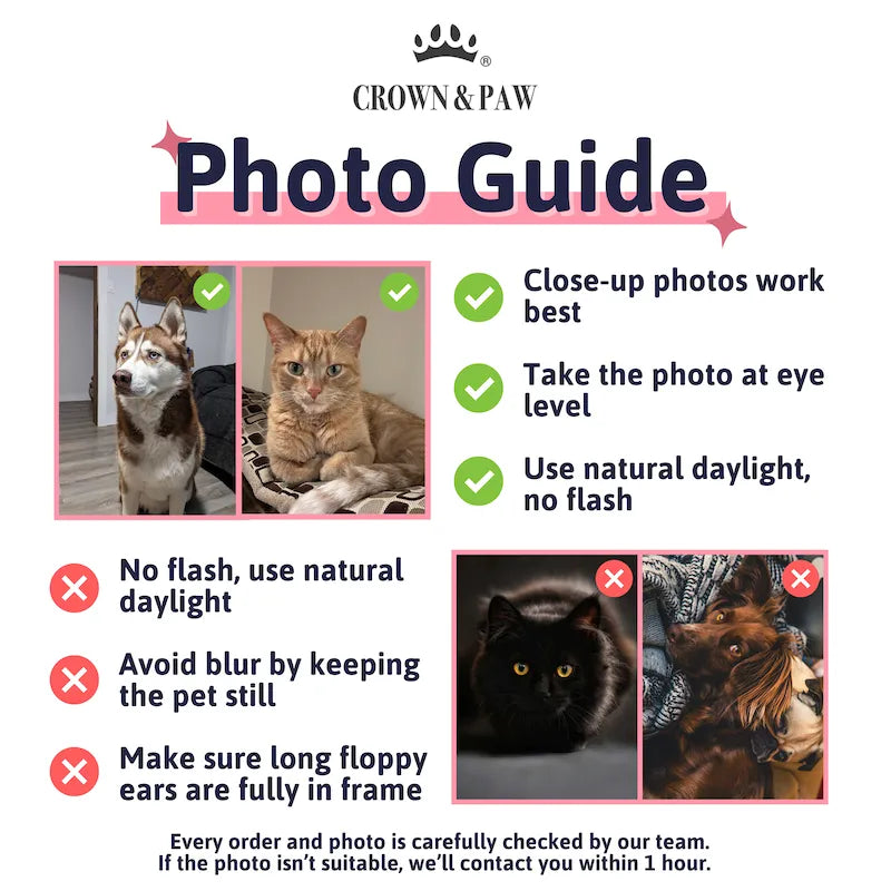 Photo guide example