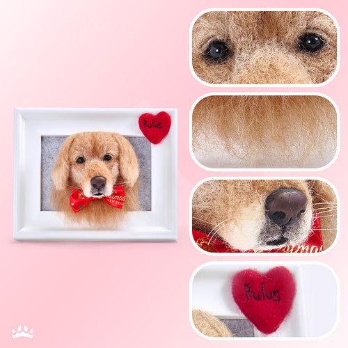 Handmade 3D Pet Face in Frame