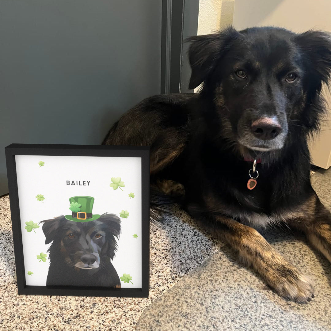 St Patrick's Day Pet Portrait - One Pet