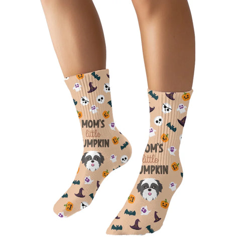 Little Pumpkin Socks with Pet Icon