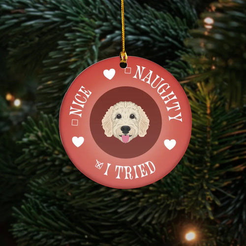 Personalized Naughty / Nice / I Tried Pet Breed Ornament