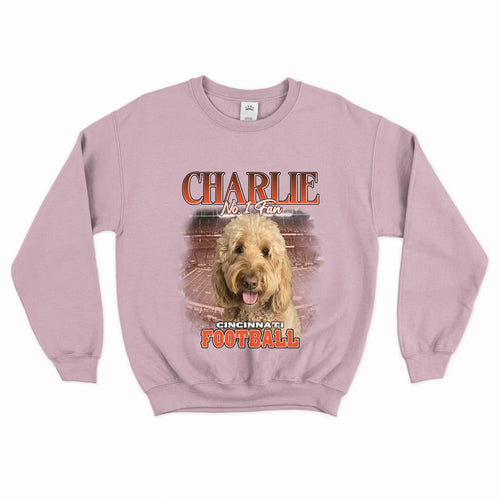 Front Side - Sweatshirt - Baby Pink #E9B4C6 1080P