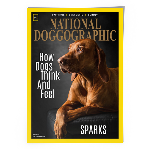 A2 Unframed Poster Vertical - Blank Mock Up Base