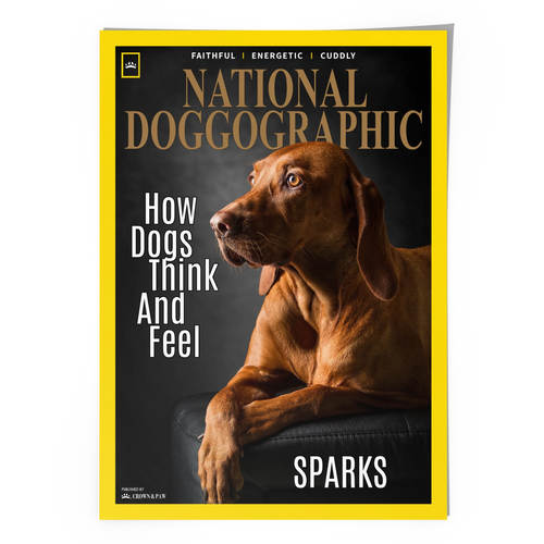 A3 Unframed Poster Vertical - Blank Mock Up Base