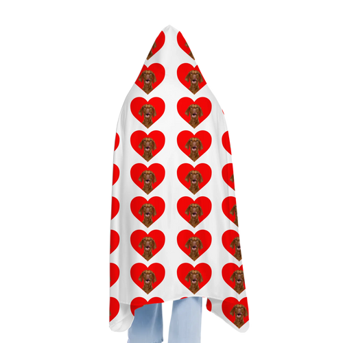 Hooded Blanket 2 B