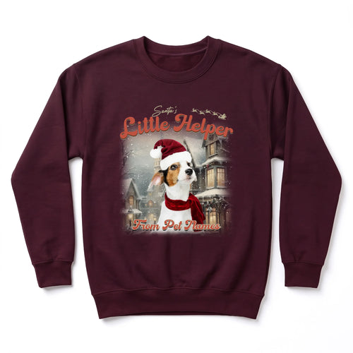 Children's Custom Vintage Christmas Pet Sweatshirt personalized with your pet's photo, design example 4