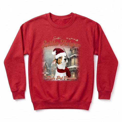Children's Custom Vintage Christmas Pet Sweatshirt personalized with your pet's photo, design example 6
