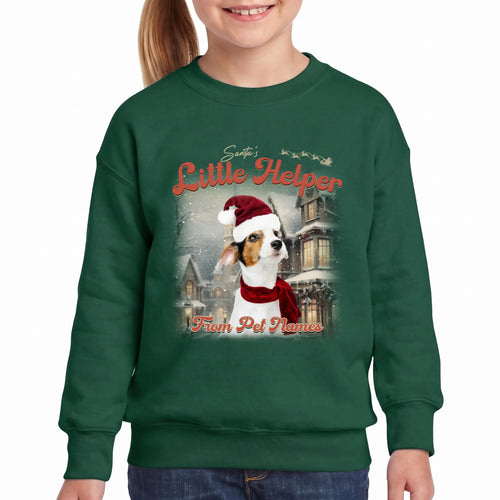 Children's Custom Vintage Christmas Pet Sweatshirt personalized with your pet's photo, design example 10