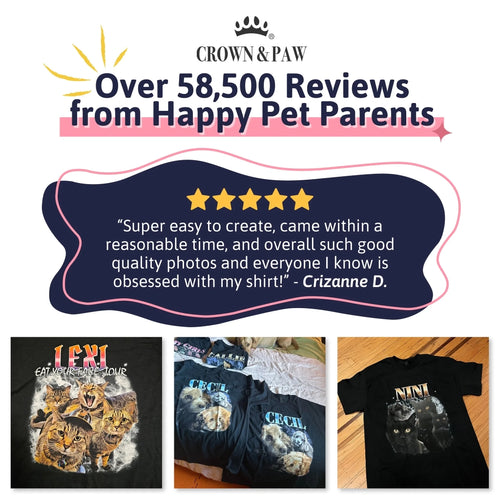 INFO - Review - T-Shirt P2
