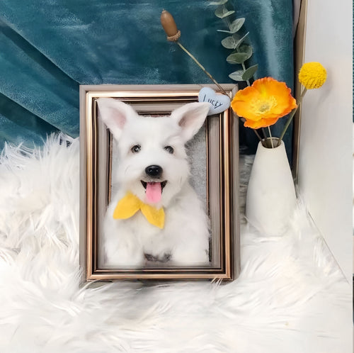 Handmade 3D Pet Face in Frame