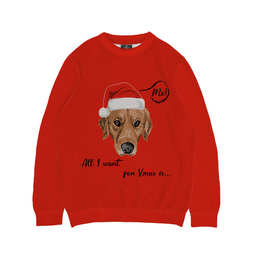 All I Want For Christmas Sweater - Custom Christmas Knitwear