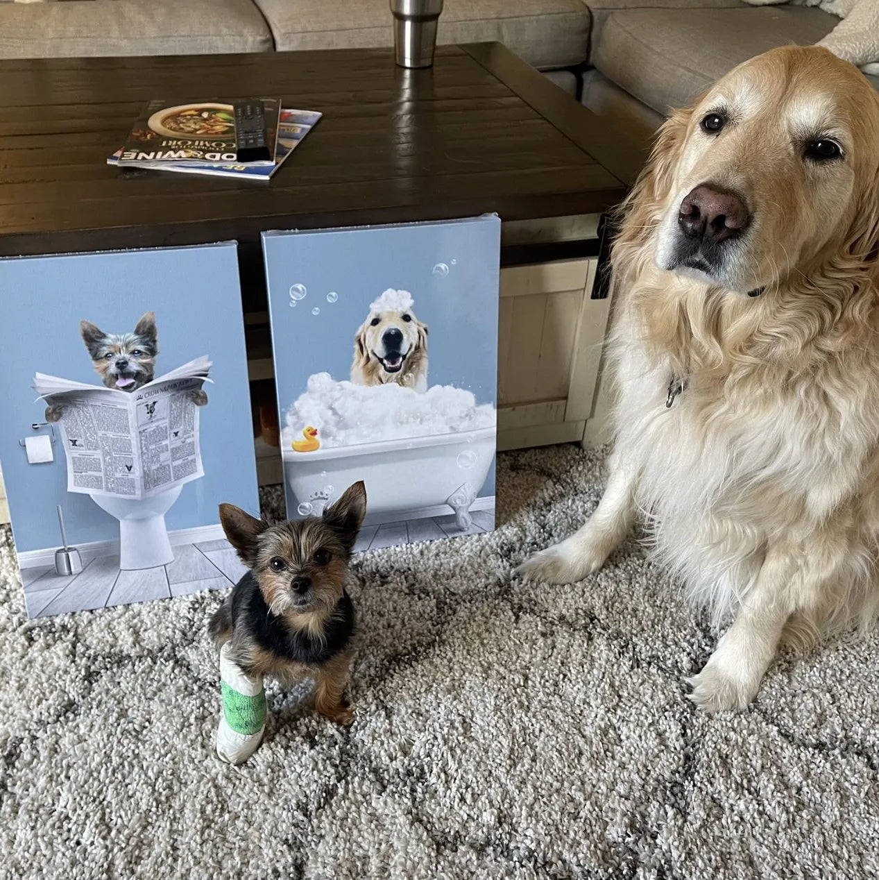 Bath Tub Pet Portrait (One Pet) - Custom Pet Art