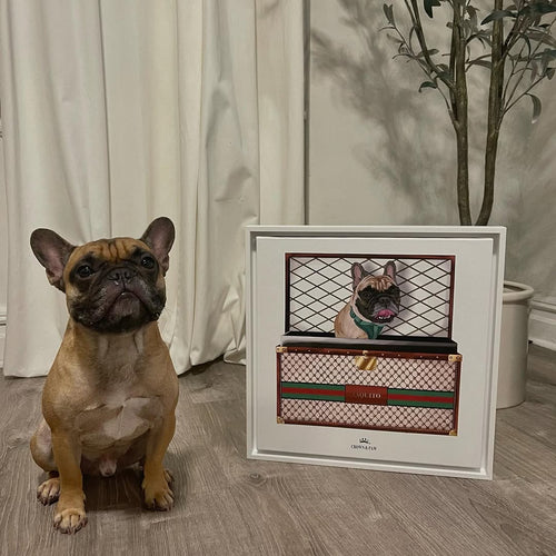Boujee Luxury Trunk Pet Portrait