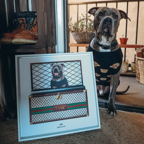 Boujee Luxury Trunk Pet Portrait