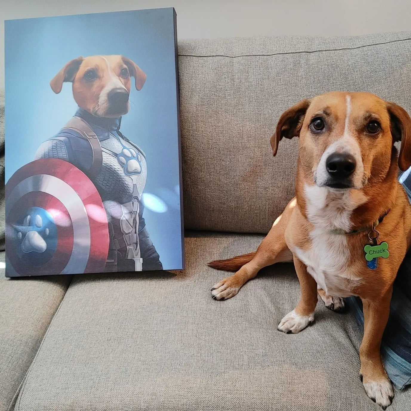 Captain Pawmerica - Custom Pet Canvas