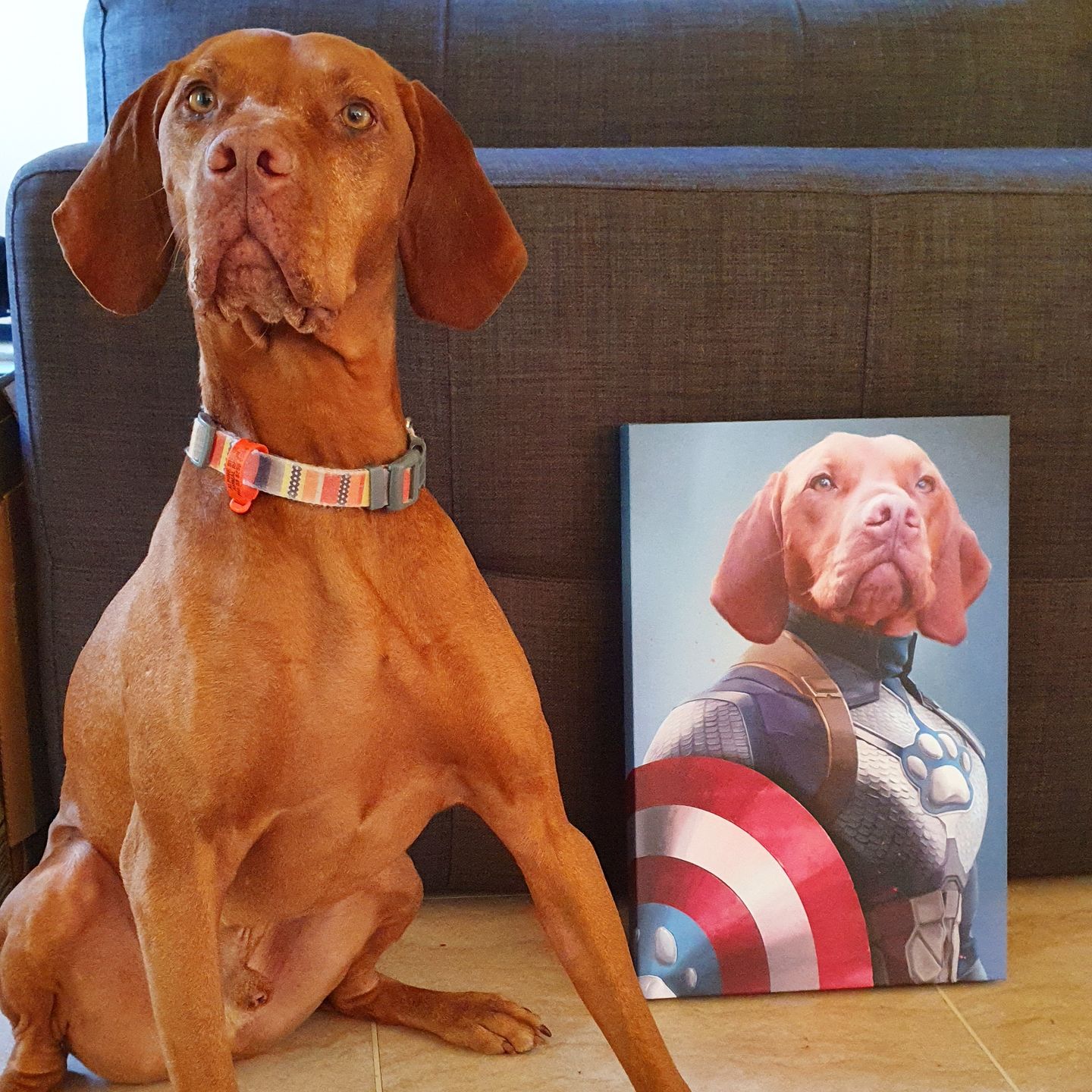 Captain Pawmerica - Custom Pet Canvas
