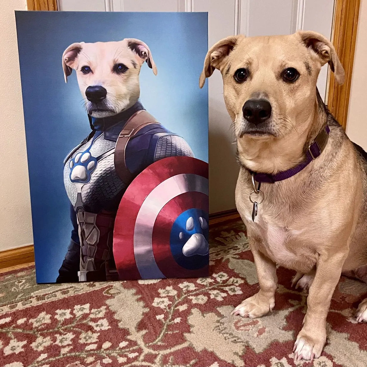 Captain Pawmerica - Custom Pet Canvas