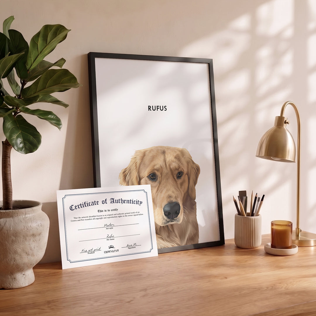 Modern Pet Portrait - One Pet