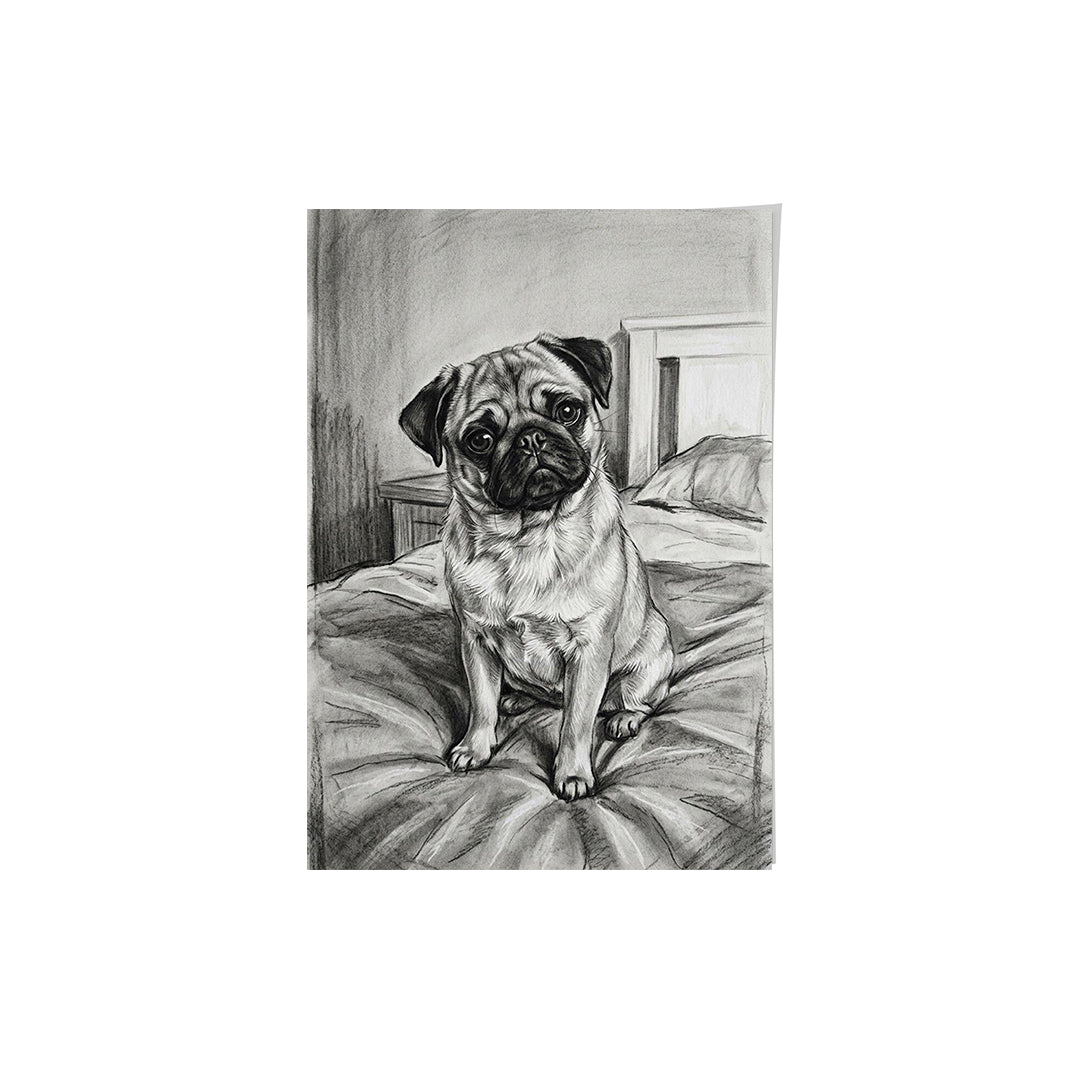 Charcoal Pet Portrait