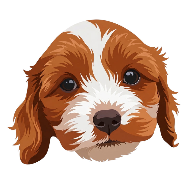 The pet embroidered