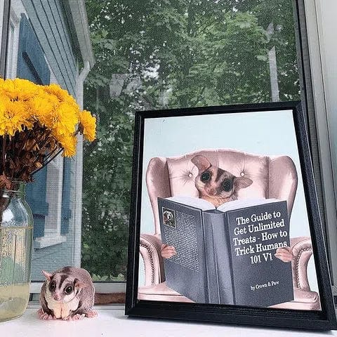 Crown and Paw - Framed Poster Custom Pet Reading a Book Portrait - Framed Poster