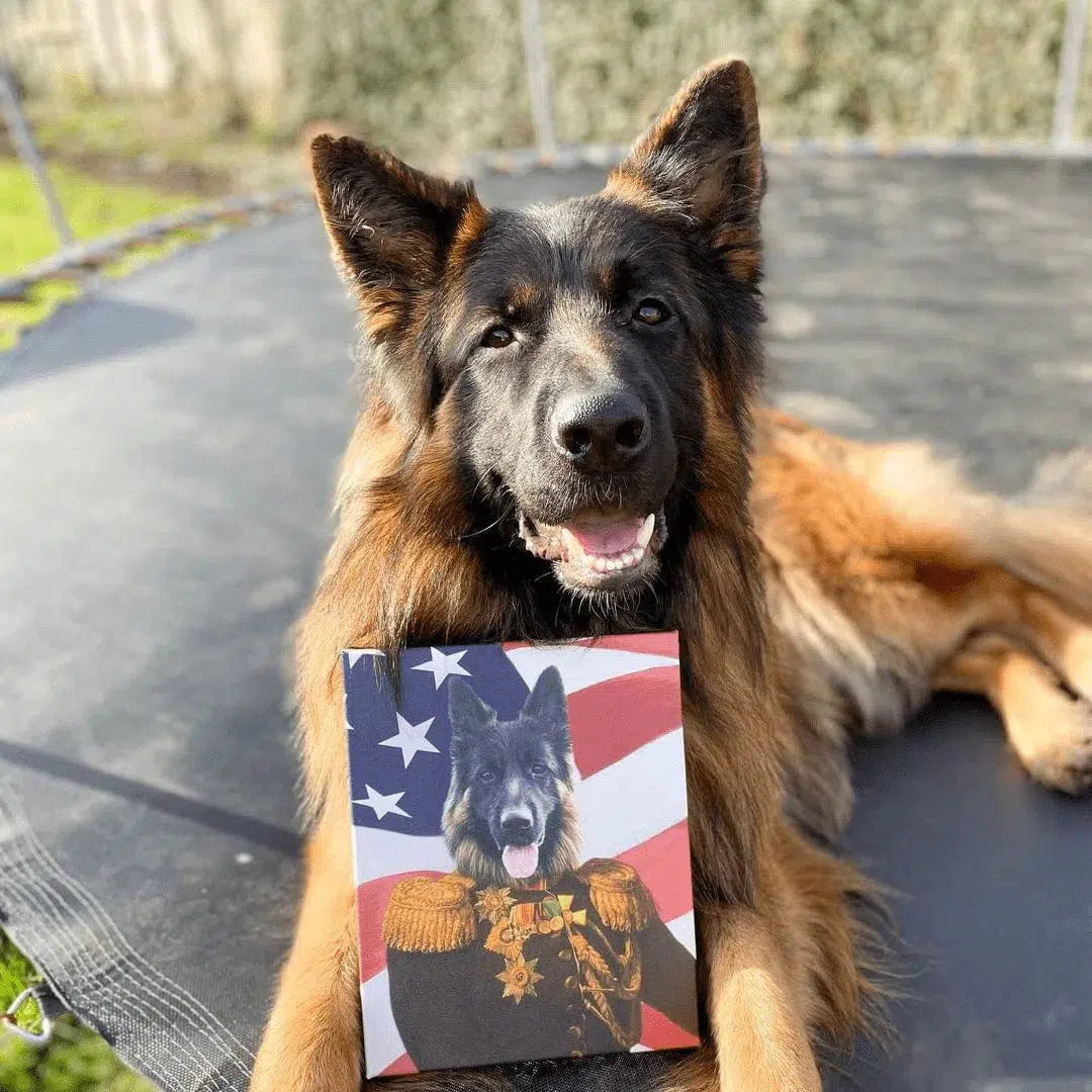 The Veteran - USA Flag Edition - Custom Pet Canvas